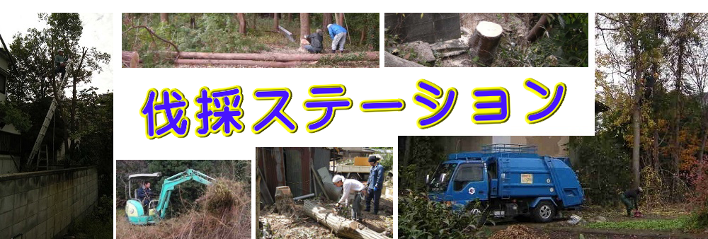 熊谷市の庭木伐採、立木枝落し、草刈りを承ります。